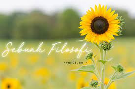 Kenyataan seringkali lebih panas dari terik matahari. Sebuah Filosofi Kehidupan Bunga Matahari Kaskus