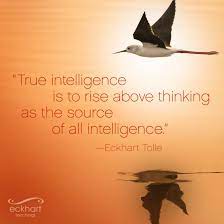True Intelligence Is To Rise Above Thinking As A Source Of All Intelligence Meaningful Quotes About Life Eckhart Tolle Quotes Eckhart Tolle