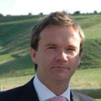 Nick Raffaele Email & Phone Number