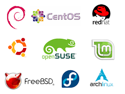 Hasil gambar untuk pengertian sistem operasi linux