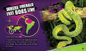 Since 2009 the species corallus batesii has been distinguished from c. Emerald Tree Boas Bellwether Media Inc