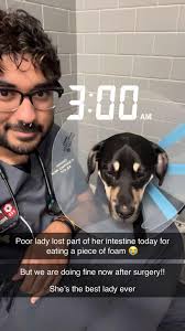 Admin approved* Hi everyone! I'm currently completing my BSc in Animal  Management and Welfare and unfortunately for me, it's dissertation time 😂  I'm gathering data