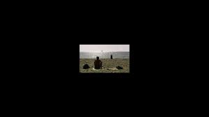 The · апр 8, 2016. Juventude Em Marcha Viennale