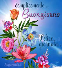 Pin Di Massimiliano Nannoni Su Buongiorno Buongiorno Auguri Di Buongiorno Grazie Per Gli Auguri Di Compleanno