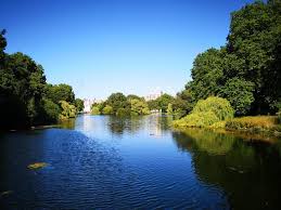 Buckingham palace, palace of westminster and st. Eichhornchen St James S Park London Reisebewertungen Tripadvisor