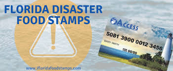 Disaster Food Stamps Florida Smarter Florida