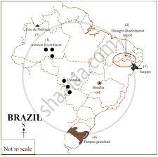 The best selection of royalty free brazil outline map vector art, graphics and stock illustrations. Show The Following In The Outline Map Of Brazil With Index Highest Peak In Brazil Drought Quadrilateral Region Geography Shaalaa Com
