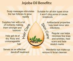 It is very commonly used organic ingredient in many beauty products, like skin lotions. Buy Donnara Organics Premium Olive Oil Argan Oil Jojoba Oil Combo Pack Of 3 Bottles Of 100ml 300 Ml Online At Low Prices In India Amazon In