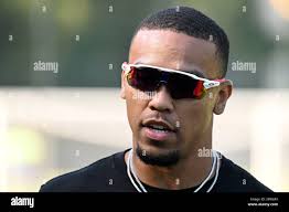 Amon ra st brown lions hi-res stock photography and images