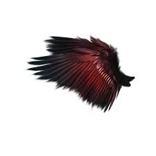 Sussiem Vampire Diary Ep65 Png Wings Wings Drawing Demon Wings