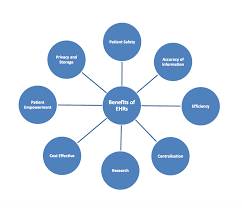 Arch Report On The Ehr Public Consultation Ehealth Ireland