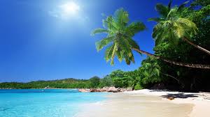 Tropical Island Wallpaper 4k 2880 x 1800 jpeg 1207 kb. tropical island wallpaper 4k