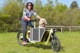 Familien Und Lasten E Bike Schmidt Pedelec Nurnberg