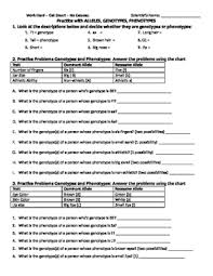 Can someone help me understand the definitions of phenotype and genotype in relation to evolutionary algorithms? Allele Genotype Phenotype Practice 2 By Bringing Science To Life