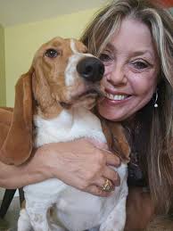 Beagles Lovers Sharing Affection