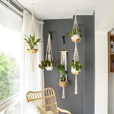 See more ideas about plants, indoor plants, planting flowers. Hanging Plants Plantas Colgantes De Interior Plantas En Pared Decoracion De Casa Con Plantas