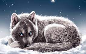 download wallpapers wolf snowdrifts winter snowflakes blue eyes fantasy art predators besthqwallpapers com wolf spirit animal canine art fantasy wolf