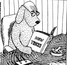 See full list on caringforaseniordog.com Old Dog New Tricks Old Dogs New Tricks Dog Barking At Night