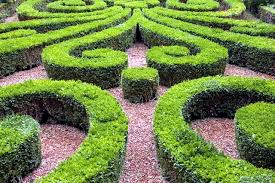 Check spelling or type a new query. Cut 22 Ideas For Garden Design Spring Buchsbaum Interior Design Ideas Ofdesign