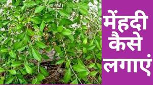 à¤® à¤¹à¤¦ à¤• à¤¸ à¤²à¤— à¤ à¤® à¤¹à¤¦ à¤²à¤— à¤¨ à¤• à¤¸à¤¬à¤¸ à¤†à¤¸ à¤¨ à¤¤à¤° à¤• Mehandi Kaise Lagaye Youtube à¤® à¤¹à¤¦ à¤• à¤¸ à¤²à¤— à¤ à¤® à¤¹à¤¦ à¤²à¤— à¤¨ à¤• à¤¸à¤¬à¤¸ à¤†à¤¸ à¤¨ à¤¤à¤° à¤• mehandi kaise lagaye