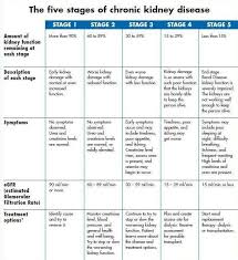 The Five Stages Of Kidney Disease That S Me Stage 5 Dialysis Nurse Chronic Kidney Disease Kidney Health