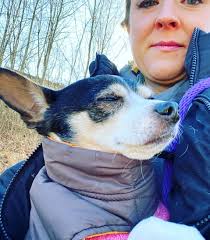 Cats & dogs: patience, baby gates— and treats!