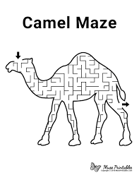 They are widely used to carry anything, from people to shopping to construction trip on the salt flats, along with the camel caravans, to discover the salt mines in the heart of the danakil depression in northern ethiopia. Animal Camel
