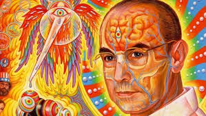 Les drogues psychédéliques peuvent-elles permettre de cartographier le  cerveau ?