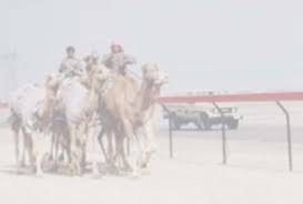 Do you know what does camel jockey mean? Save The Children S Resource Centre