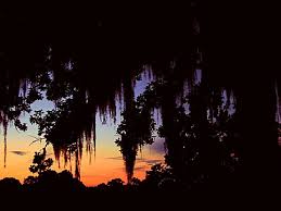 Lake bistineau state park, doyline louisiana. Lake Bistineau State Park A Louisiana State Park Located Near Bossier City Haughton And Shreveport