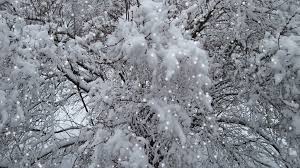 Please enter a city or zip code to get your most accurate weather forecast. Otm Chicago Weather Update Gif Find On Gifer