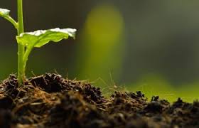 Service first landscapes best landscaping equipment & supplies in alpharetta ga. Cumming Ga Landscape Supply Materials Mulch Topsoil Sand Stone