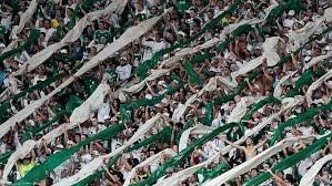 Por que as cores do Palmeiras são verde e branco?   