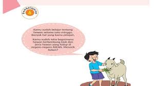 Kelas 6 tema 1 selamatkan makhluk hidup terdapat 4 pembahasan yaitu subtema 1 tumbuhan sahabatku, subtema 2 hewan sahabatku, subtema 3 ayo selamatkan hewan dan tumbuhan, dan subtema 4 aku cinta membaca. Kunci Jawaban Tema 1 Kelas 6 Halaman 104 105 106 107 108 109 Subtema 2 Pembelajaran 6 Tribun Pontianak
