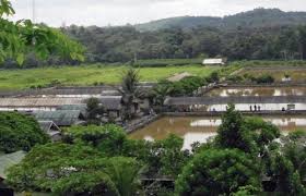 Bagus Arkinston Balikpapanguide Halaman 4