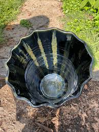 Thanks to my studio assistants!...