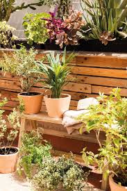Las plantas y flores de exterior son los elementos idóneos para dar un aspecto de lo más natural a esos espacios privilegiados con los que puedas contar en tu vivienda o un recinto de otras características. Plantas Y Jardineria 10 Consejos Para Principiantes Plantas De Exterior Plantas Jardineria Para Principiantes