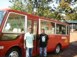 Image result for Maerua bussei