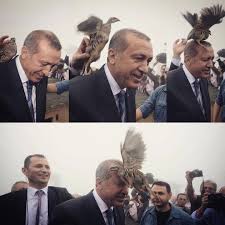 Esat C On Instagram Devlet Kusu Instagram