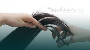 Disebalik budaya kita yang memberi penilaian wanita yang cantik dan ayu pada dia yang memilik rambut panjang mengurai. Perempuan Potong Rambut Pendek Apakah Dibolehkan Dalam Islam Pecihitam Org