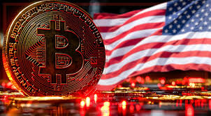 Crypto Goes Mainstream: America's 2025 Surge in Adoption | Disruption  Banking