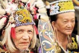 Check spelling or type a new query. Panglima Burung Dan Kumbang