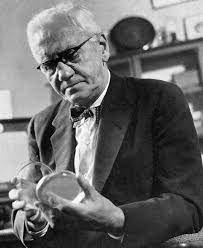 Alexander Fleming - Wikipedia Bahasa Melayu, Ensiklopedia Bebas