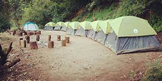 These sites can accommodate tents and small travel trailers. Camping Site From Munnar Top Station Munnar Tent Camps Tent Camping Tent Campsite