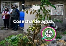 Entrevistados por pablo álvarez, conversamos sobre problemas de escasez hídrica en la región del biobio. Instalan 20 Mil 145 Sistemas De Cosecha De Lluvia En Cdmx