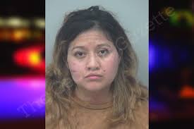 Roxana Palacios — Gwinnett County Jail Bookings
