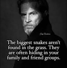 Amanda Qatar in people