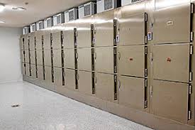 Cuanto Tarda Un Cuerpo En Descomponerse Elmundo Es Salud