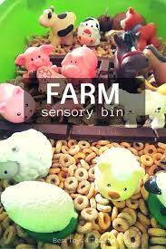 Farm Sensory Bin Farm Sensory Bin Toddler Sensory Bins Sensory Bins