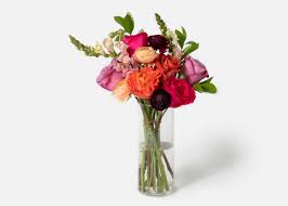 Maybe you would like to learn more about one of these? Urbanstems Review And Bonus Urbanstems Promo Code